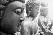 大安法师：集中思想念阿弥陀佛时，是不是可以感受到佛性？