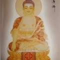 净界法师：业力是如何枯萎的？