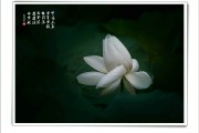妙祥法师：为什么做一些善事心里会特别清净？