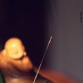 大安法师：长养真诚菩提苗