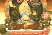 海涛法师：狗狗可以安乐死吗？