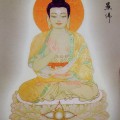 净界法师：如何操作五点记数法？