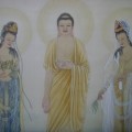 大安法师：感念弥陀大导师