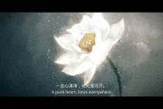 界诠法师：送给想完美摆平手头事的人几句话