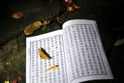 大安法师:破戒的罪业是不是比不受戒的罪业大？