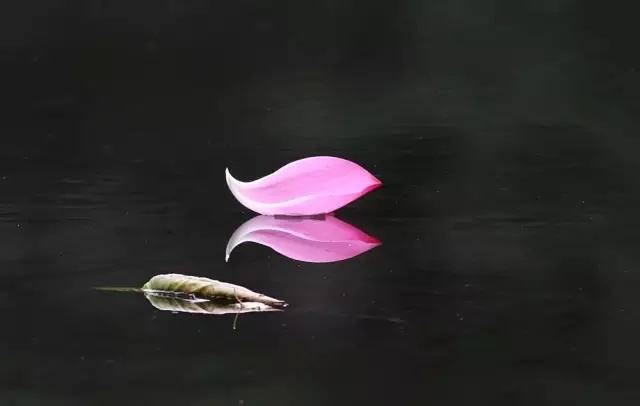 明海大和尚：抱怨是为活性的心设置障碍