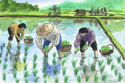 虚云禅师:佛法世法无二无别 六根清净处处是道 虚云禅师:佛法世法无二无别 六根清净处处是道