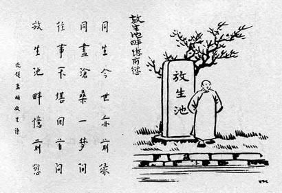 索达吉堪布：放生的三个重要意义
