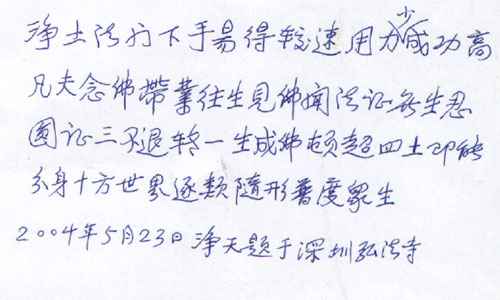 净土为归:净天老法师访谈 净土为归:净天老法师访谈