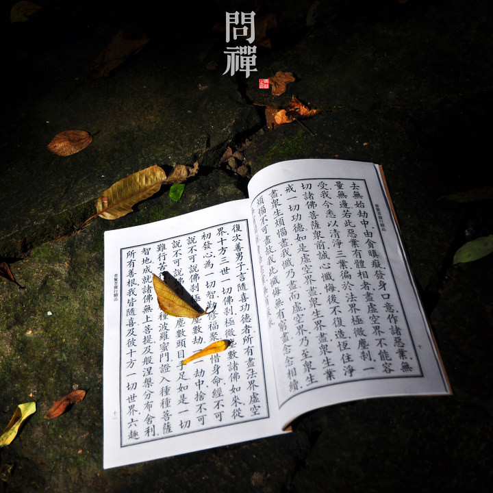 大安法师:破戒的罪业是不是比不受戒的罪业大? 大安法师:破戒的罪业是不是比不受戒的罪业大?