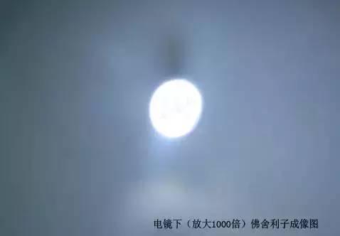 舍利子有多尊贵？仪器观察下它竟如此神奇！
